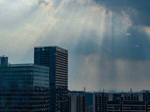 Pexels Photo 18928090 300x225