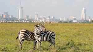 kenya